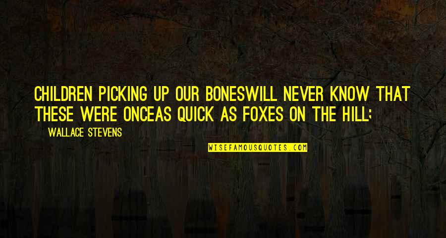 Colin Rowe Quotes By Wallace Stevens: Children picking up our bonesWill never know that