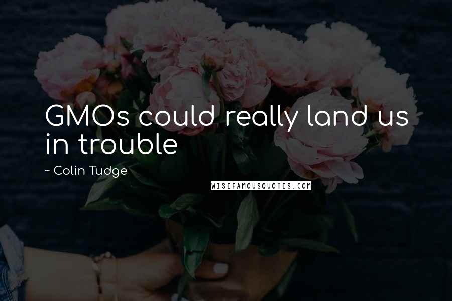 Colin Tudge quotes: GMOs could really land us in trouble