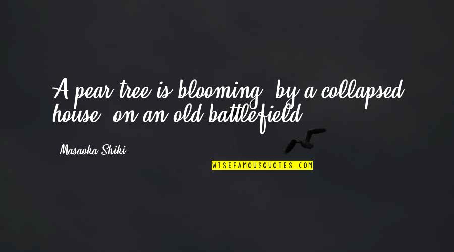 Collapsed Quotes By Masaoka Shiki: A pear tree is blooming, by a collapsed