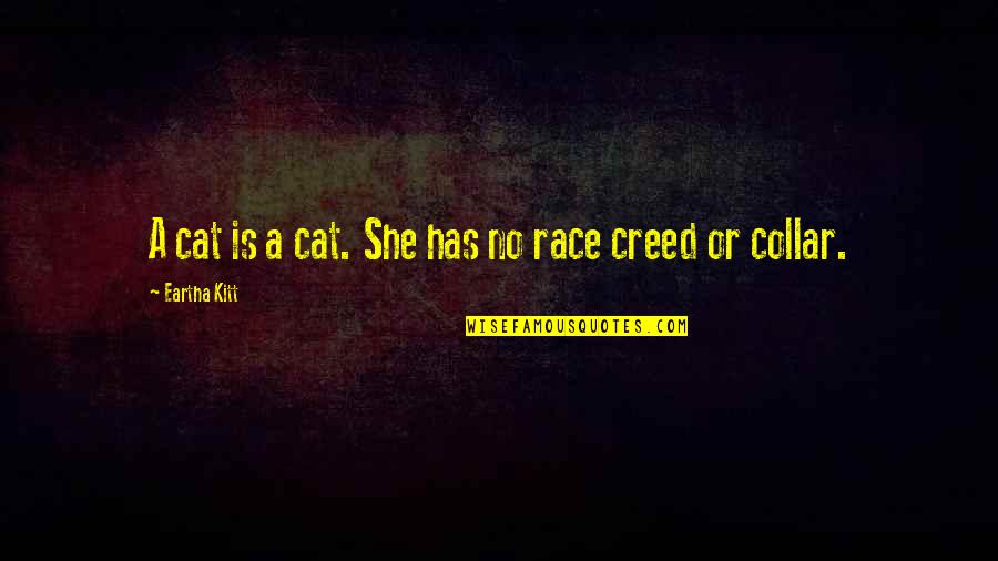 Collar Quotes By Eartha Kitt: A cat is a cat. She has no Collar Quotes By Eartha Kitt: A cat is a cat. She has no