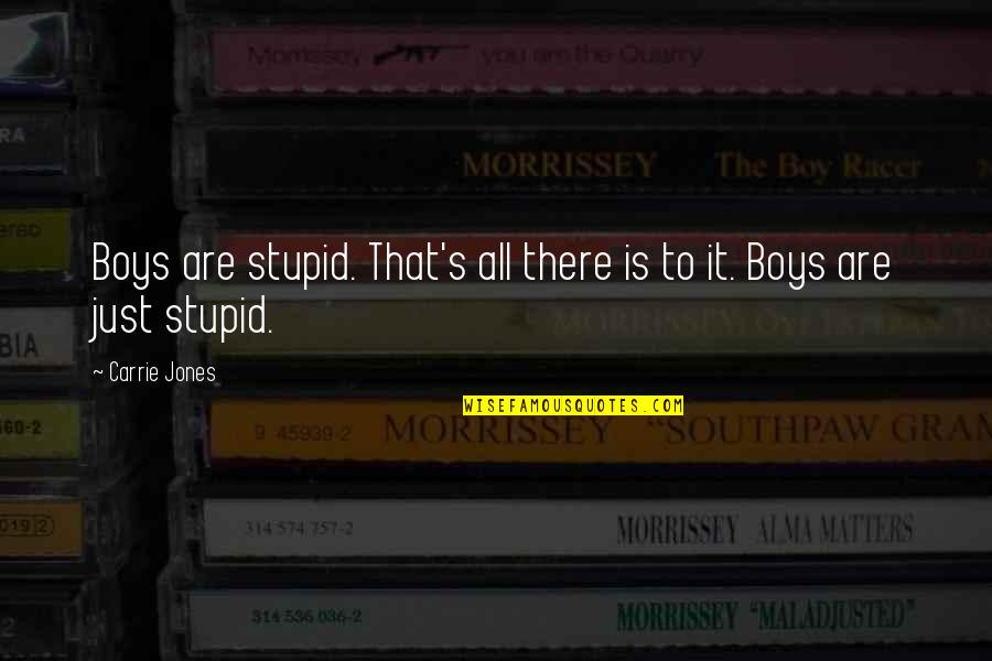 Collection Of Moments Quotes By Carrie Jones: Boys are stupid. That's all there is to