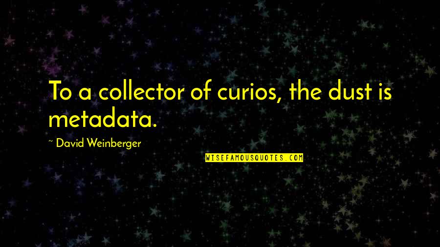 Collectors Quotes By David Weinberger: To a collector of curios, the dust is