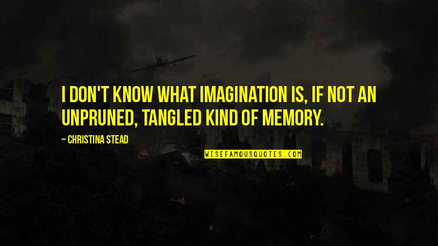 Colleen Hacker Quotes By Christina Stead: I don't know what imagination is, if not