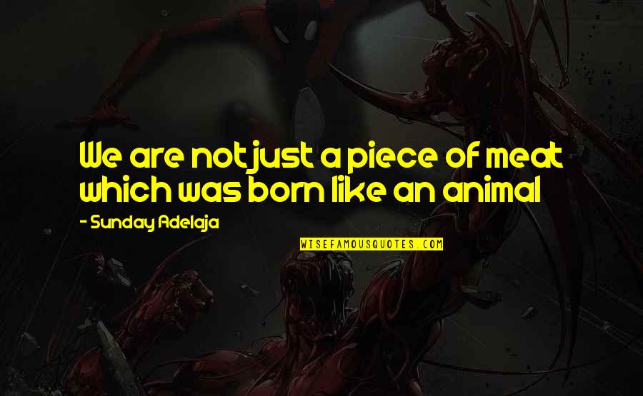 Collegare Nintendo Quotes By Sunday Adelaja: We are not just a piece of meat Collegare Nintendo Quotes By Sunday Adelaja: We are not just a piece of meat