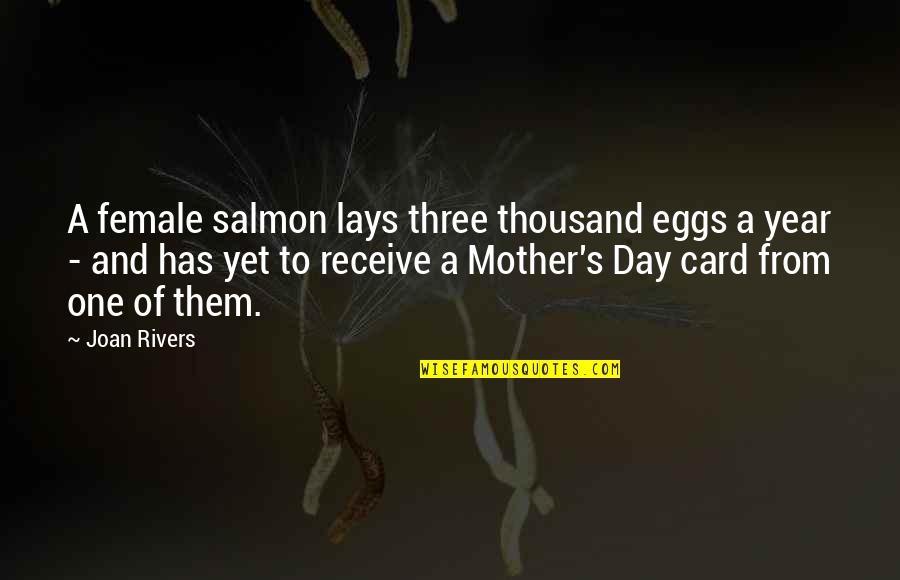 College Football Drinking Quotes By Joan Rivers: A female salmon lays three thousand eggs a