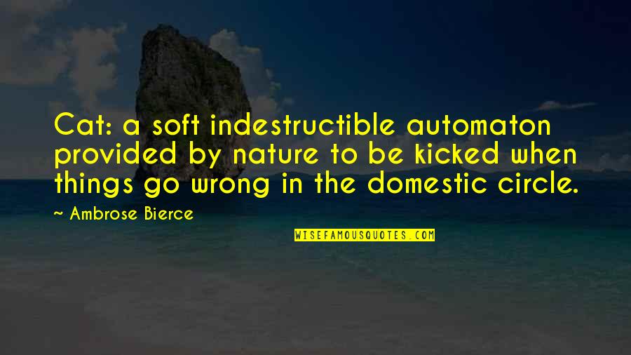 College Football Players Quotes By Ambrose Bierce: Cat: a soft indestructible automaton provided by nature