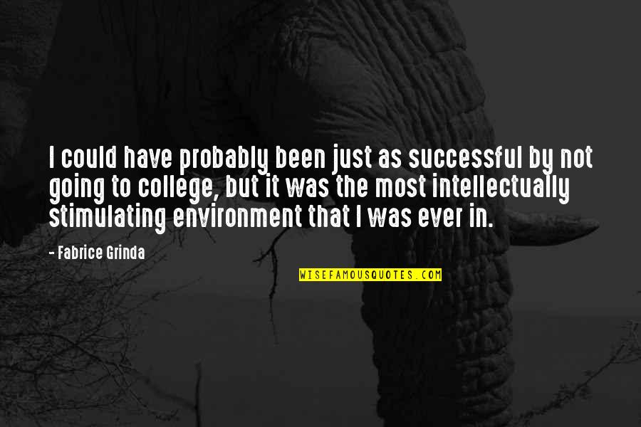 College Going Quotes By Fabrice Grinda: I could have probably been just as successful College Going Quotes By Fabrice Grinda: I could have probably been just as successful