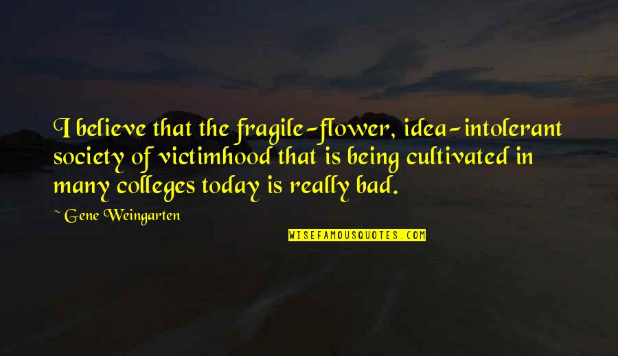 College Is Quotes By Gene Weingarten: I believe that the fragile-flower, idea-intolerant society of