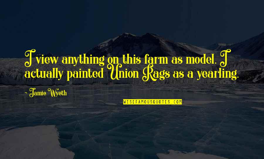 College Union Election Quotes By Jamie Wyeth: I view anything on this farm as model.