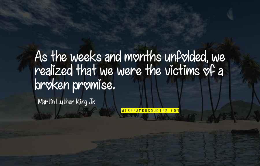 Collerette Chien Quotes By Martin Luther King Jr.: As the weeks and months unfolded, we realized