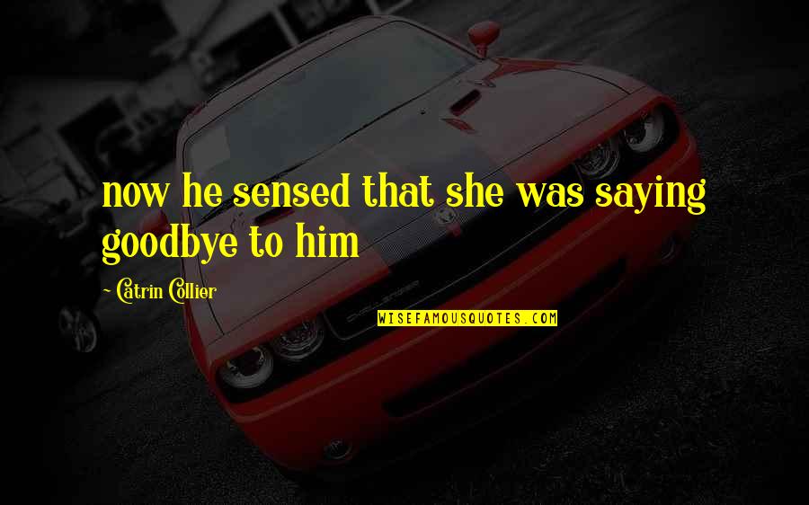 Collier Quotes By Catrin Collier: now he sensed that she was saying goodbye Collier Quotes By Catrin Collier: now he sensed that she was saying goodbye