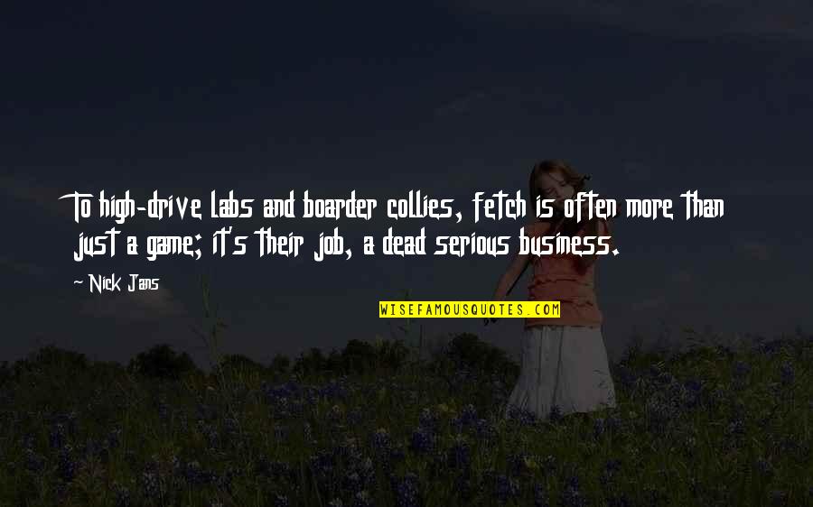 Collies Quotes By Nick Jans: To high-drive labs and boarder collies, fetch is Collies Quotes By Nick Jans: To high-drive labs and boarder collies, fetch is