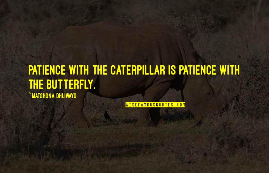 Collision Theory Quotes By Matshona Dhliwayo: Patience with the caterpillar is patience with the