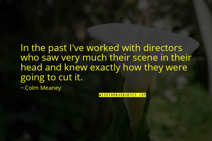 Colm Quotes By Colm Meaney: In the past I've worked with directors who