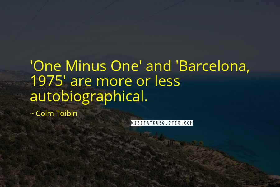 Colm Toibin quotes: 'One Minus One' and 'Barcelona, 1975' are more or less autobiographical.