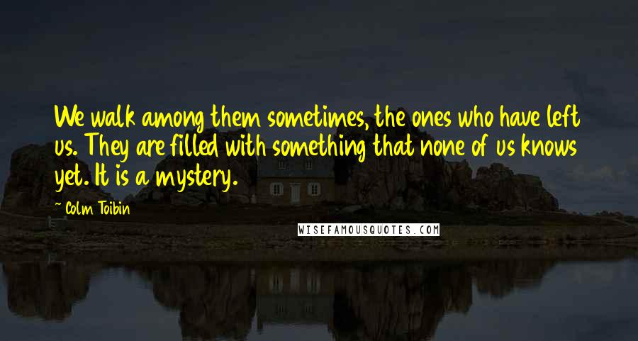 Colm Toibin quotes: We walk among them sometimes, the ones who have left us. They are filled with something that none of us knows yet. It is a mystery.