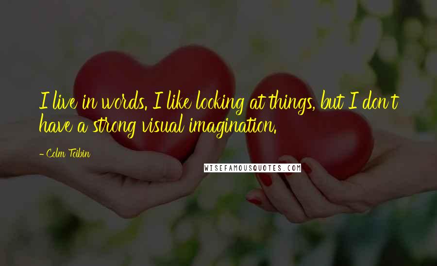 Colm Toibin quotes: I live in words. I like looking at things, but I don't have a strong visual imagination.