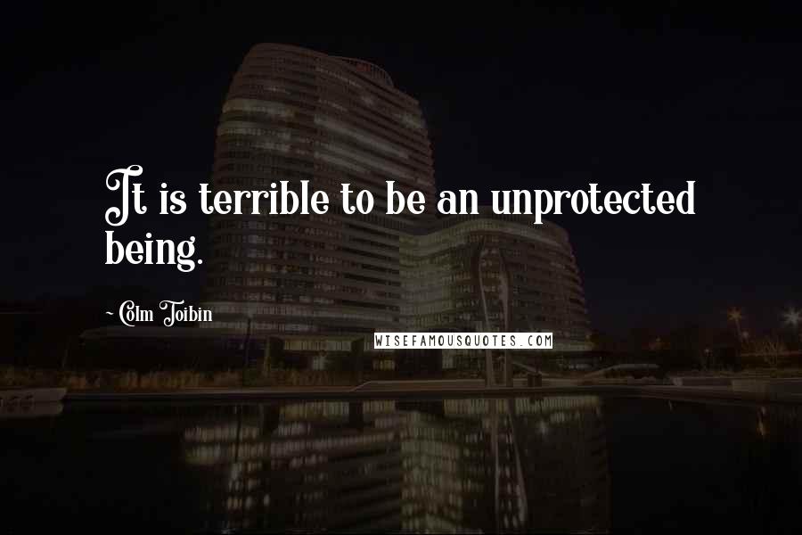 Colm Toibin quotes: It is terrible to be an unprotected being.