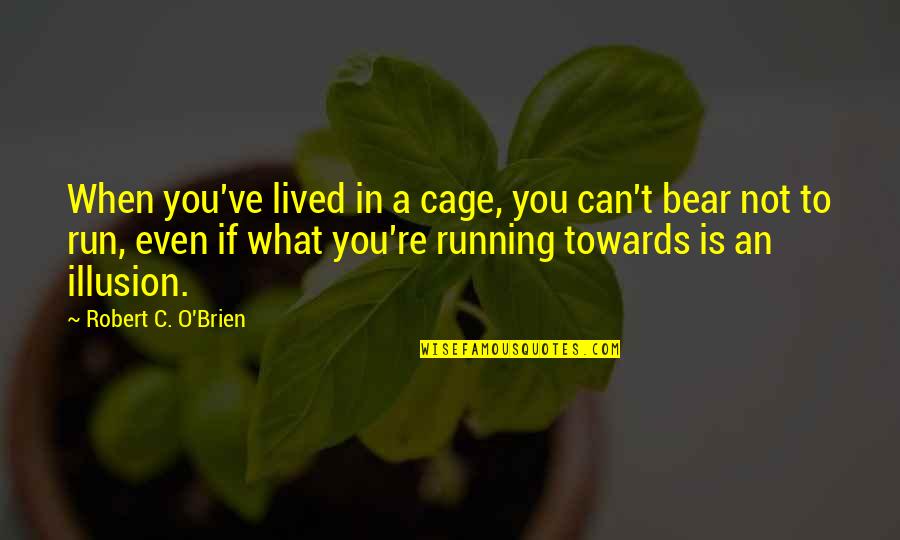 Colmenas Meliponas Quotes By Robert C. O'Brien: When you've lived in a cage, you can't Colmenas Meliponas Quotes By Robert C. O'Brien: When you've lived in a cage, you can't