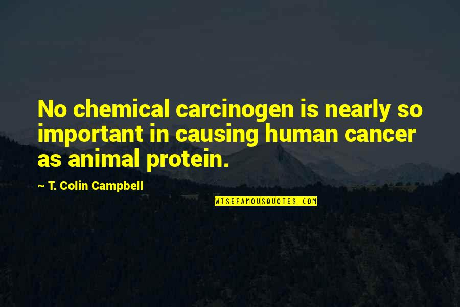 Colocados Quotes By T. Colin Campbell: No chemical carcinogen is nearly so important in