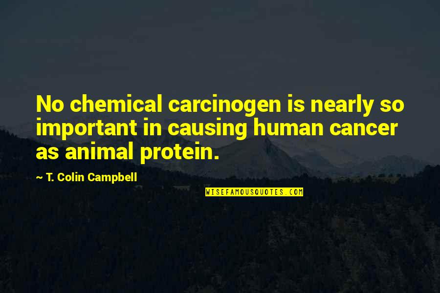 Colocados Quotes By T. Colin Campbell: No chemical carcinogen is nearly so important in Colocados Quotes By T. Colin Campbell: No chemical carcinogen is nearly so important in
