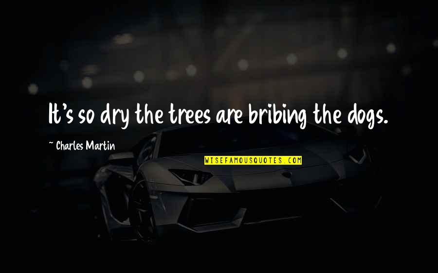 Colombian Pride Quotes By Charles Martin: It's so dry the trees are bribing the