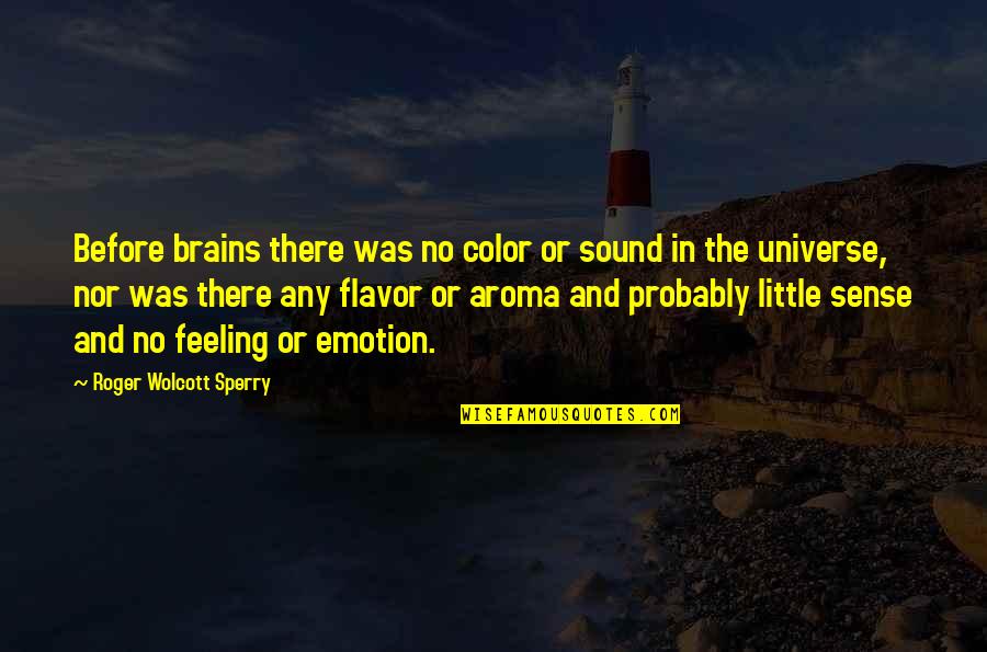 Color And Emotion Quotes By Roger Wolcott Sperry: Before brains there was no color or sound