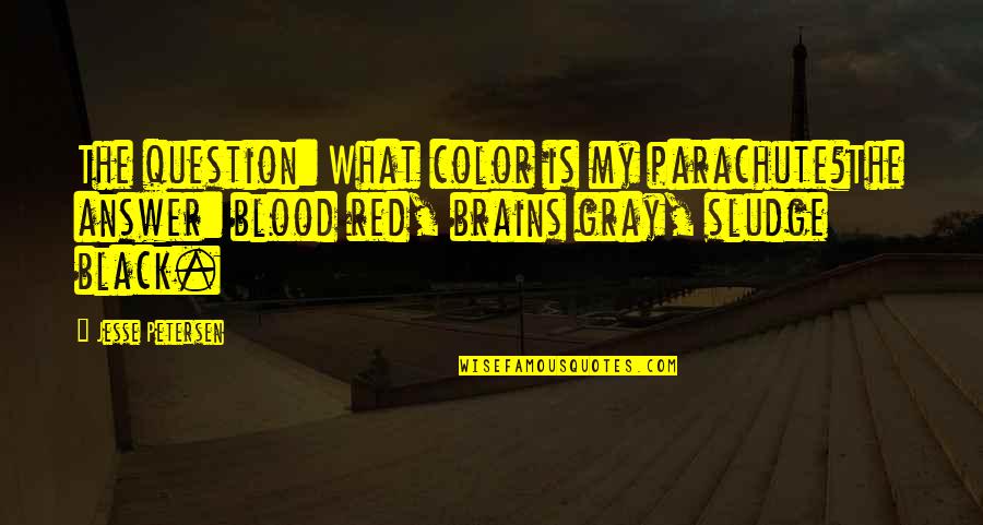 Color Is Life Quotes By Jesse Petersen: The question: What color is my parachute?The answer: