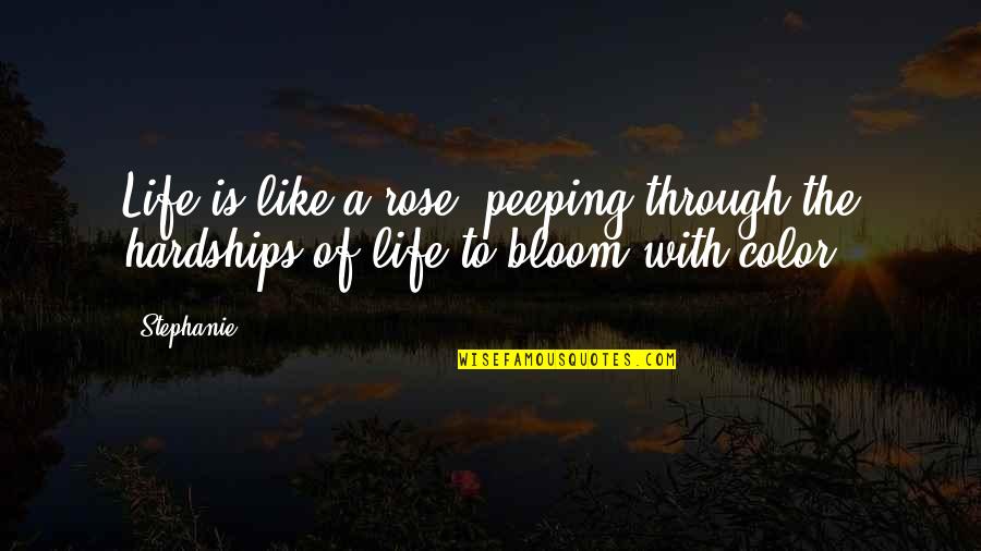 Color Is Life Quotes By Stephanie: Life is like a rose, peeping through the