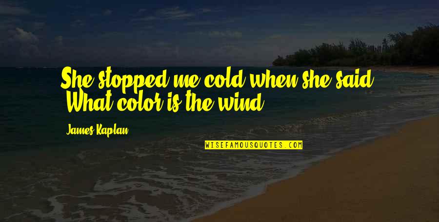 Color Is Quotes By James Kaplan: She stopped me cold when she said, 'What