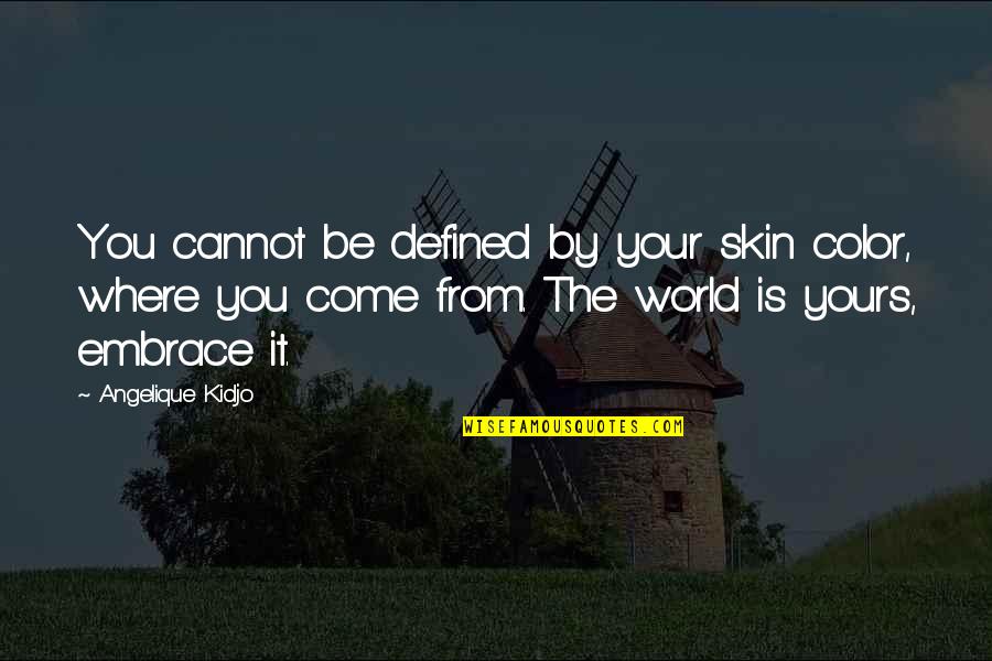 Color Skin Quotes By Angelique Kidjo: You cannot be defined by your skin color, Color Skin Quotes By Angelique Kidjo: You cannot be defined by your skin color,