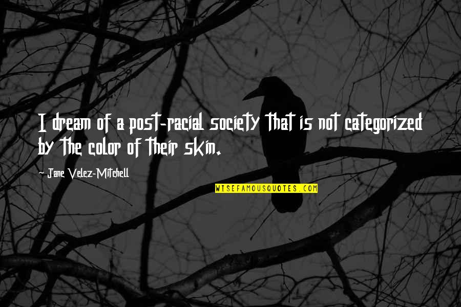 Color Skin Quotes By Jane Velez-Mitchell: I dream of a post-racial society that is