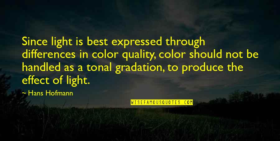 Color'd Quotes By Hans Hofmann: Since light is best expressed through differences in