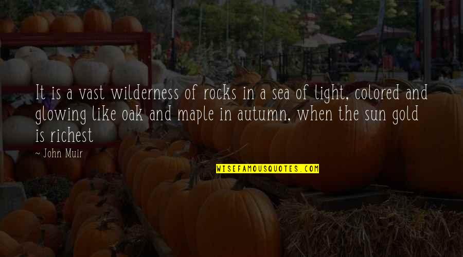 Colored Light Quotes By John Muir: It is a vast wilderness of rocks in