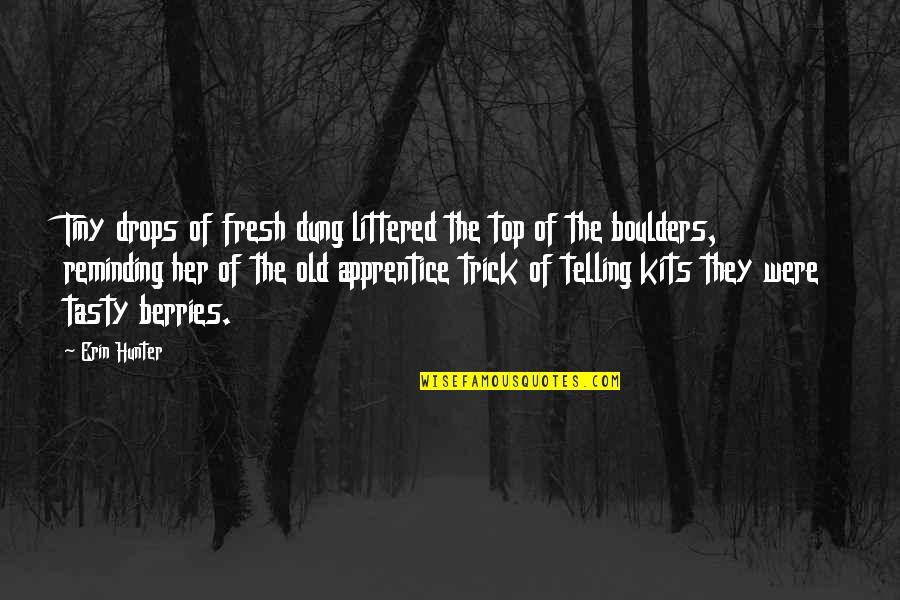 Colored Sky Quotes By Erin Hunter: Tiny drops of fresh dung littered the top Colored Sky Quotes By Erin Hunter: Tiny drops of fresh dung littered the top