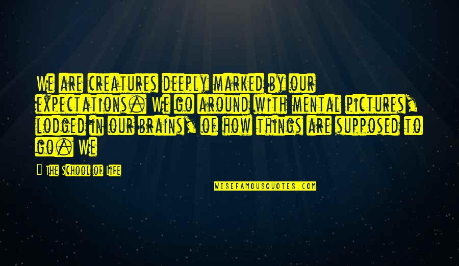 Colorful Quote Quotes By The School Of Life: We are creatures deeply marked by our expectations.