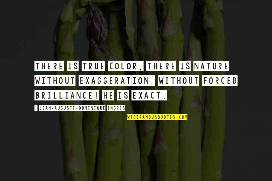 Colors And Nature Quotes By Jean-Auguste-Dominique Ingres: There is true color, there is nature without