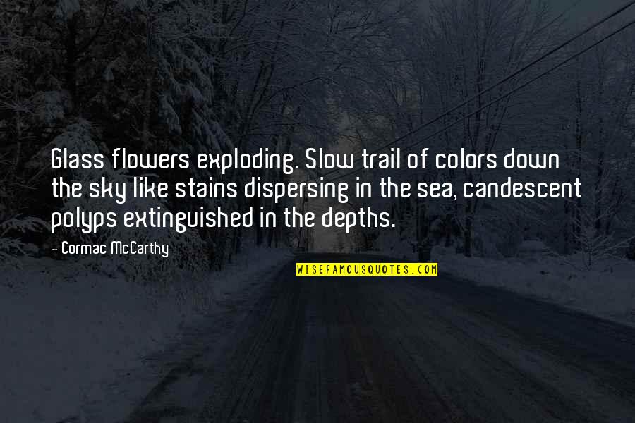 Colors Sky Quotes By Cormac McCarthy: Glass flowers exploding. Slow trail of colors down Colors Sky Quotes By Cormac McCarthy: Glass flowers exploding. Slow trail of colors down