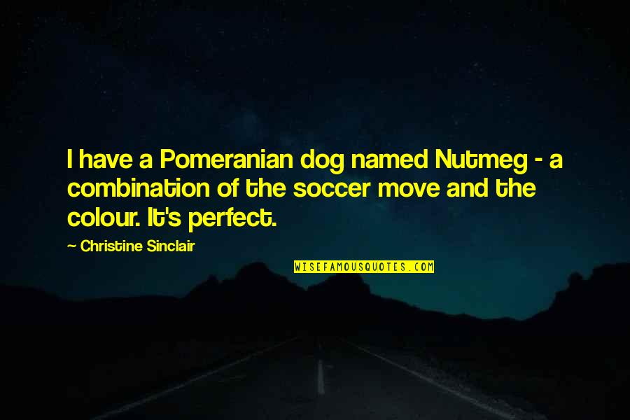 Colour Combination Quotes By Christine Sinclair: I have a Pomeranian dog named Nutmeg -