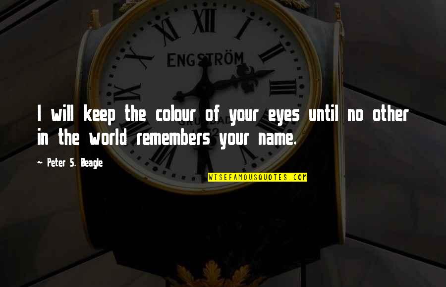 Colour Eyes Quotes By Peter S. Beagle: I will keep the colour of your eyes