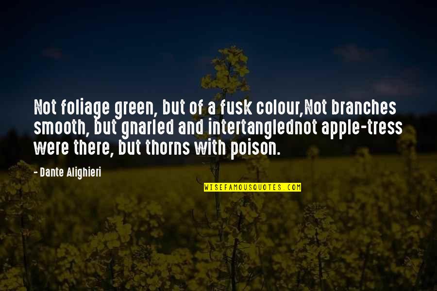 Colour Green Quotes By Dante Alighieri: Not foliage green, but of a fusk colour,Not