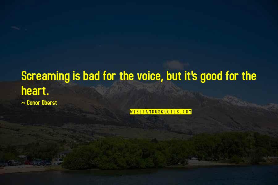 Colour In Nature Quotes By Conor Oberst: Screaming is bad for the voice, but it's