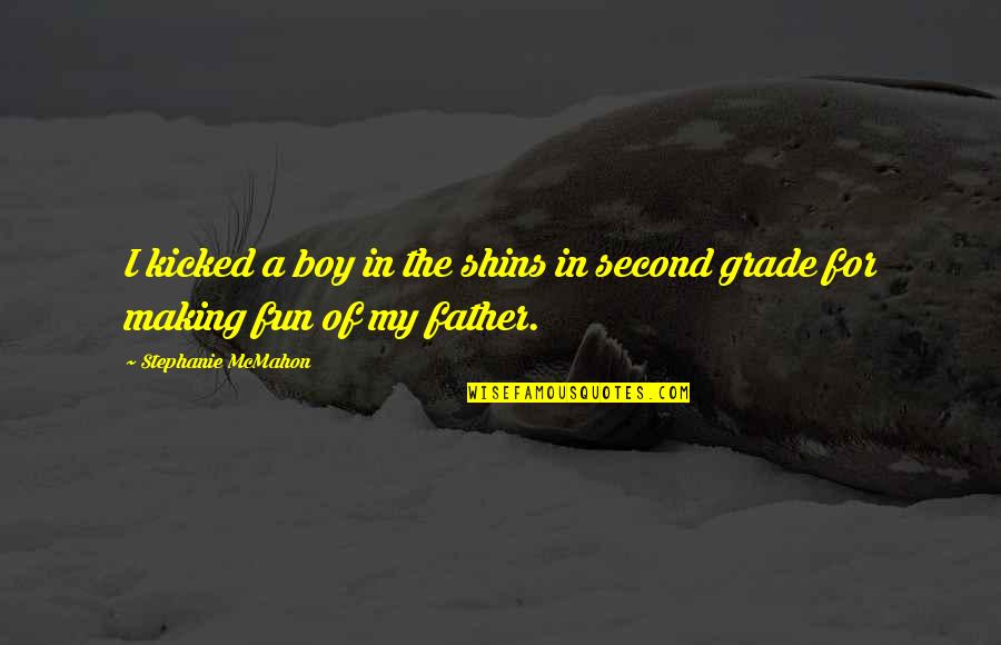 Colourful Fishes Quotes By Stephanie McMahon: I kicked a boy in the shins in Colourful Fishes Quotes By Stephanie McMahon: I kicked a boy in the shins in