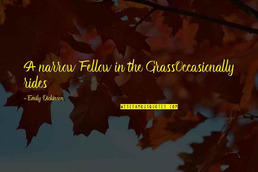 Colourful Quotes Quotes By Emily Dickinson: A narrow Fellow in the GrassOccasionally rides