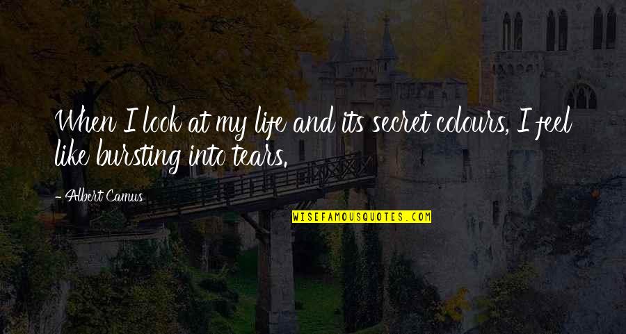 Colours In Life Quotes By Albert Camus: When I look at my life and its