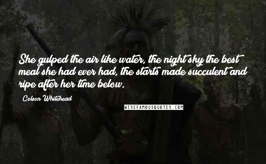 Colson Whitehead quotes: She gulped the air like water, the night sky the best meal she had ever had, the starts made succulent and ripe after her time below.