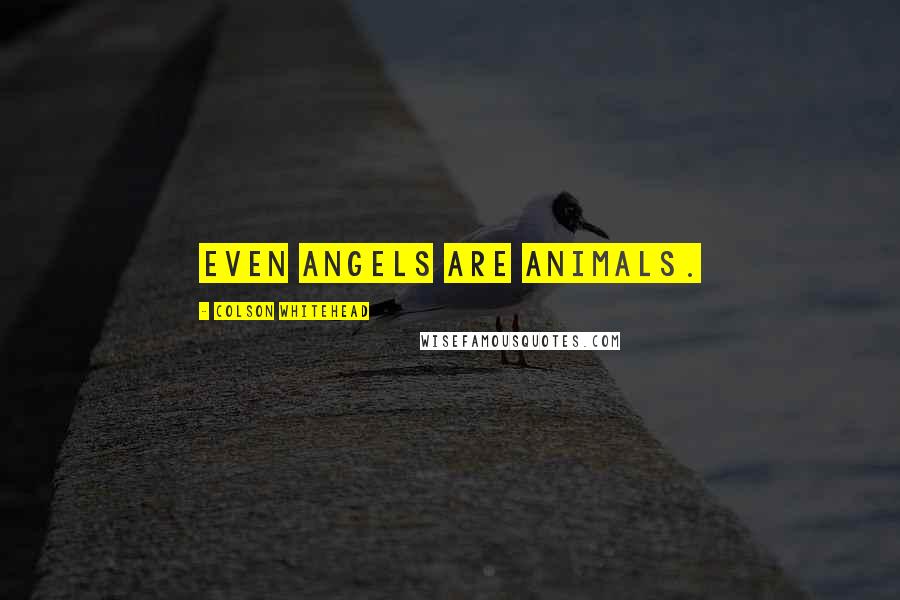 Colson Whitehead quotes: Even angels are animals.