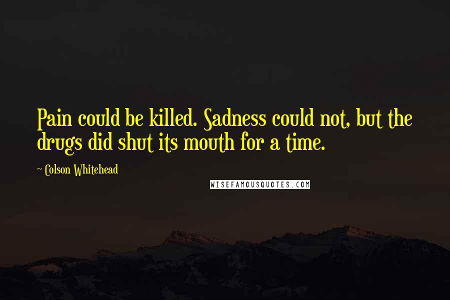 Colson Whitehead quotes: Pain could be killed. Sadness could not, but the drugs did shut its mouth for a time.