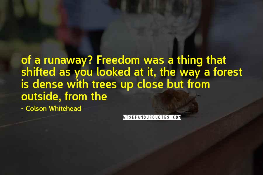 Colson Whitehead quotes: of a runaway? Freedom was a thing that shifted as you looked at it, the way a forest is dense with trees up close but from outside, from the