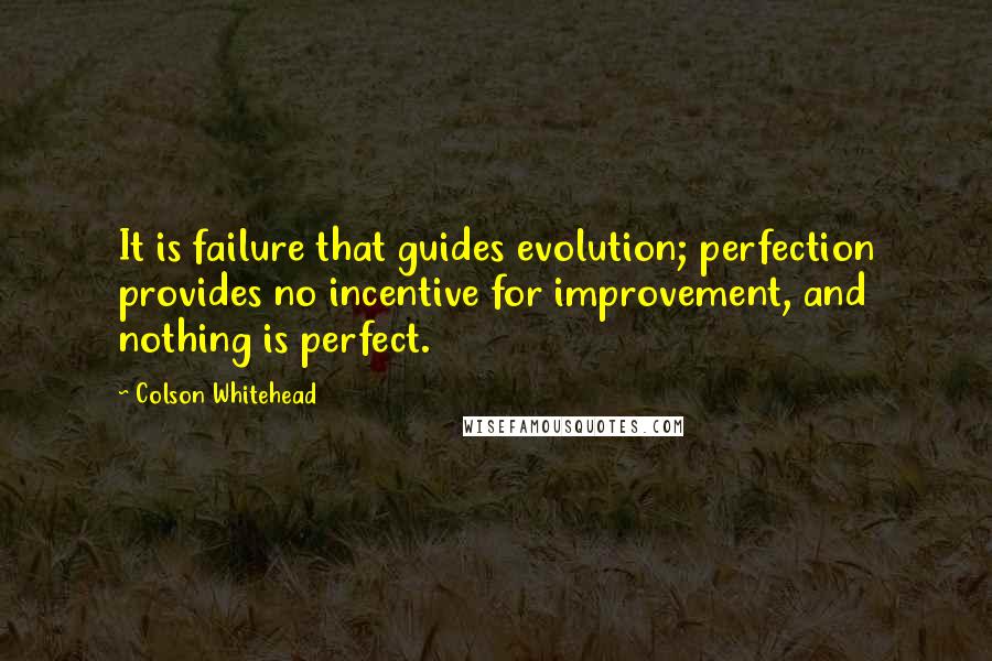 Colson Whitehead quotes: It is failure that guides evolution; perfection provides no incentive for improvement, and nothing is perfect.